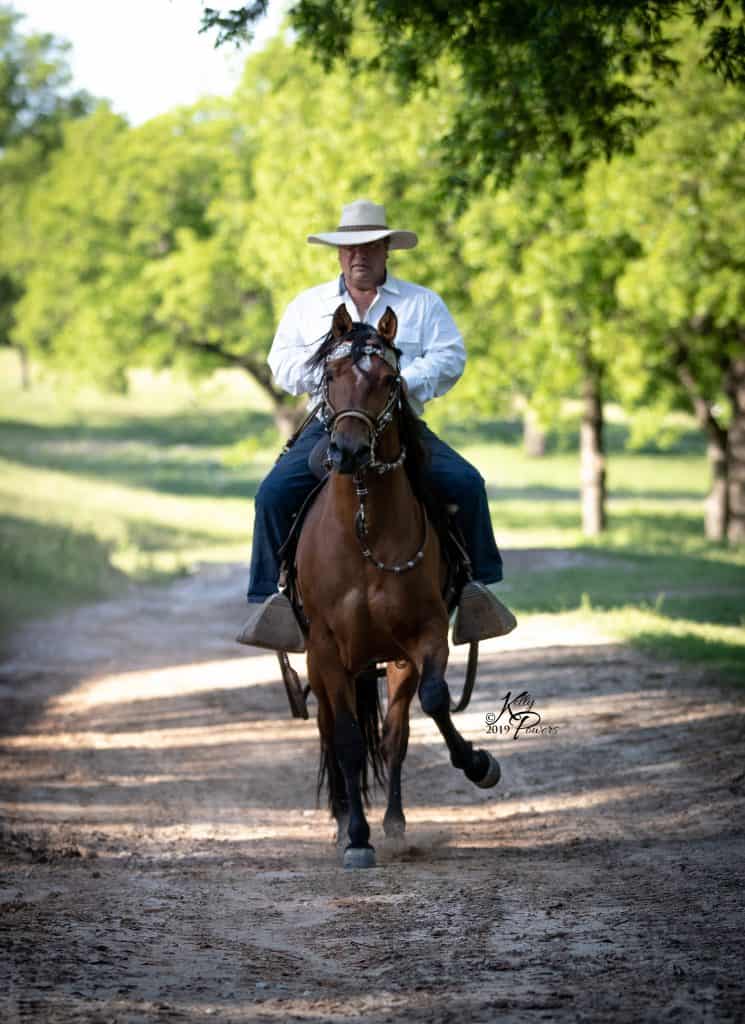 PVR Monte Carlo Pecan Valley Ranch