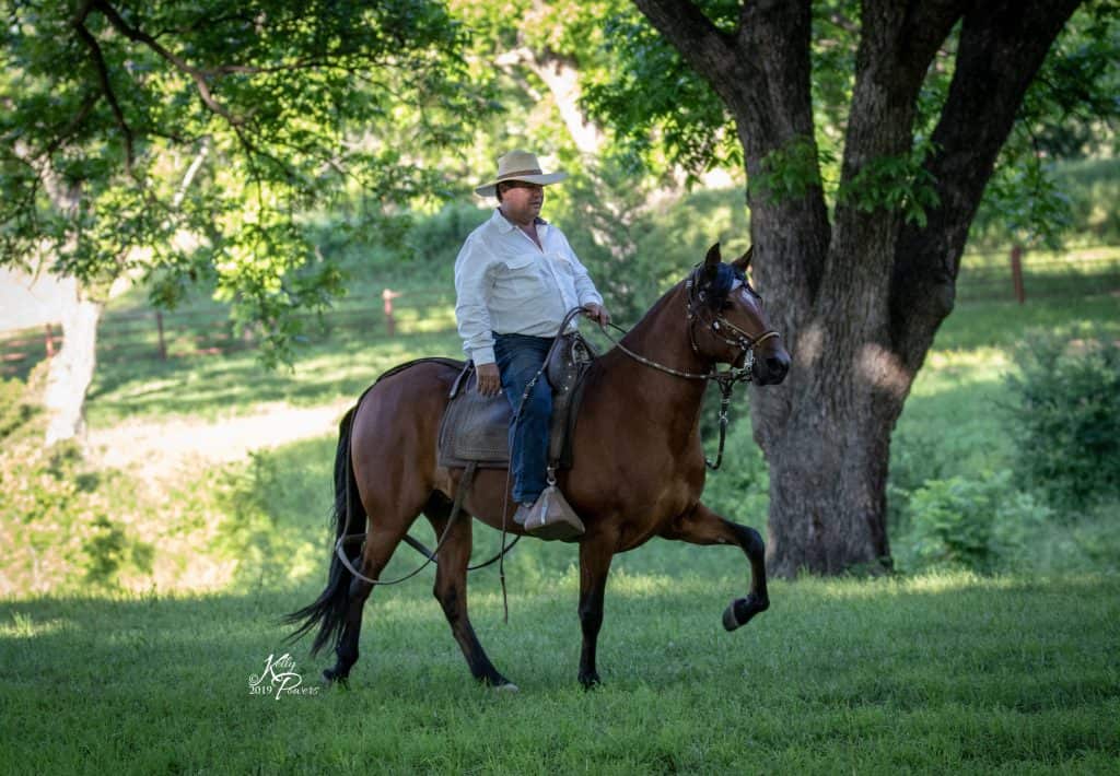 PVR Monte Carlo Pecan Valley Ranch