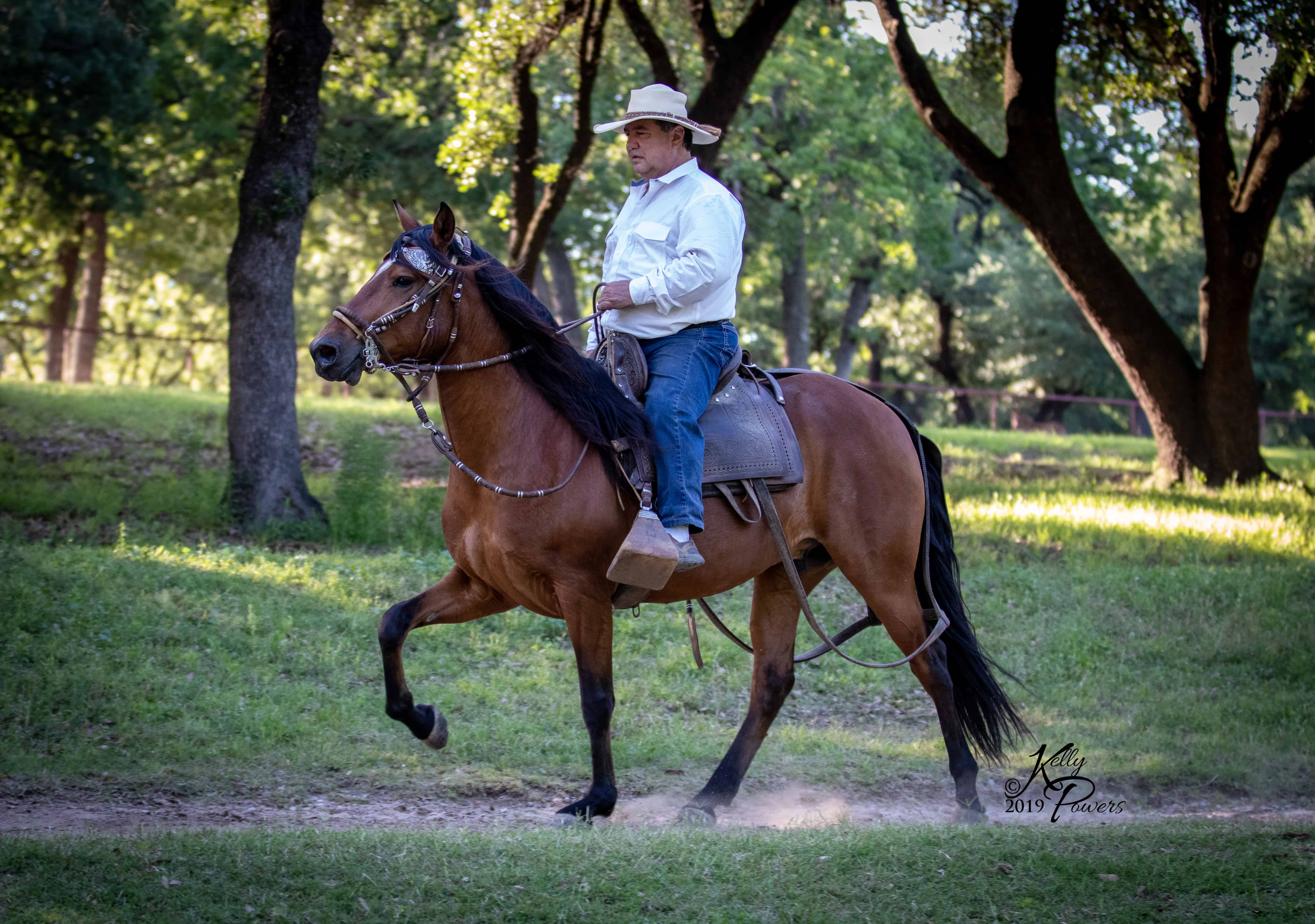 PVR Monte Carlo Pecan Valley Ranch